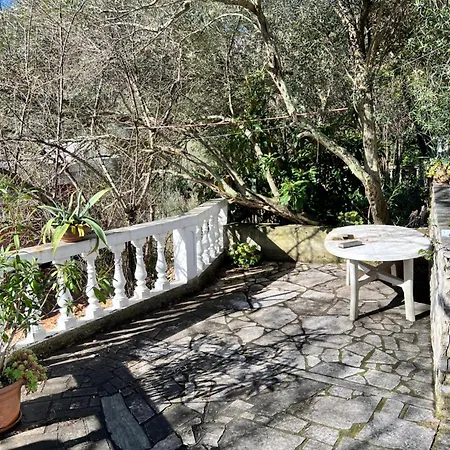 Villa Marina 11 Labin (Istria)